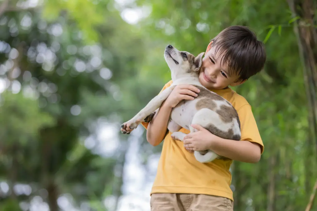Niño feliz con perro