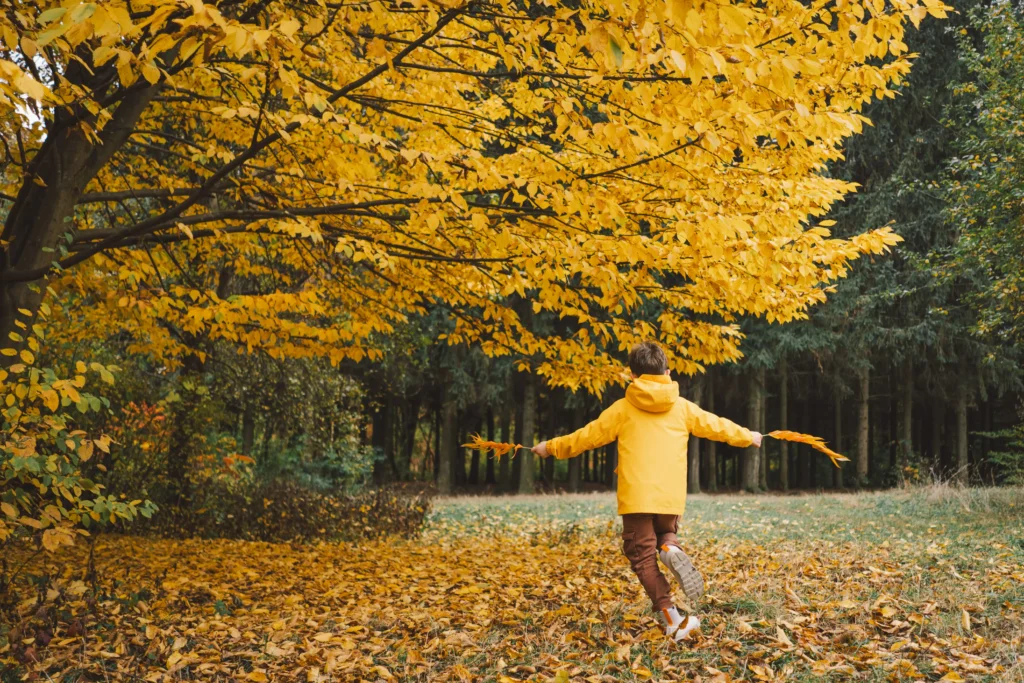 Niño Corriendo Otoño Alergias